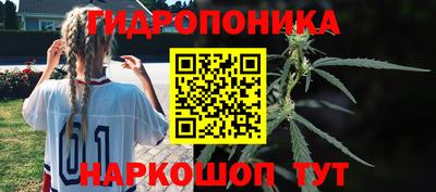 синтетический гашиш Сланцы