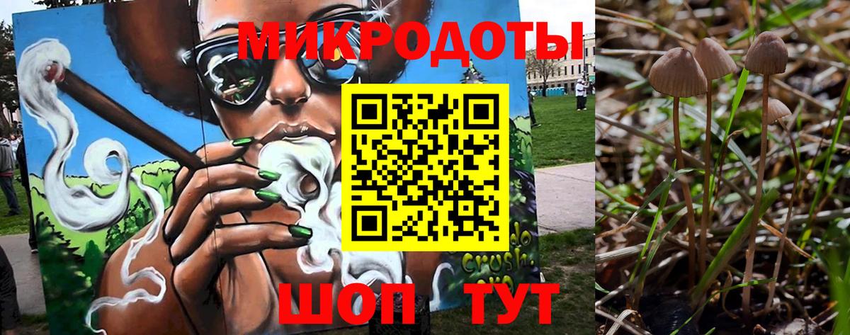 Псилоцибиновые грибы MAGIC MUSHROOMS  Вход с VPN  Прокопьевск 